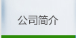 公司簡(jiǎn)介